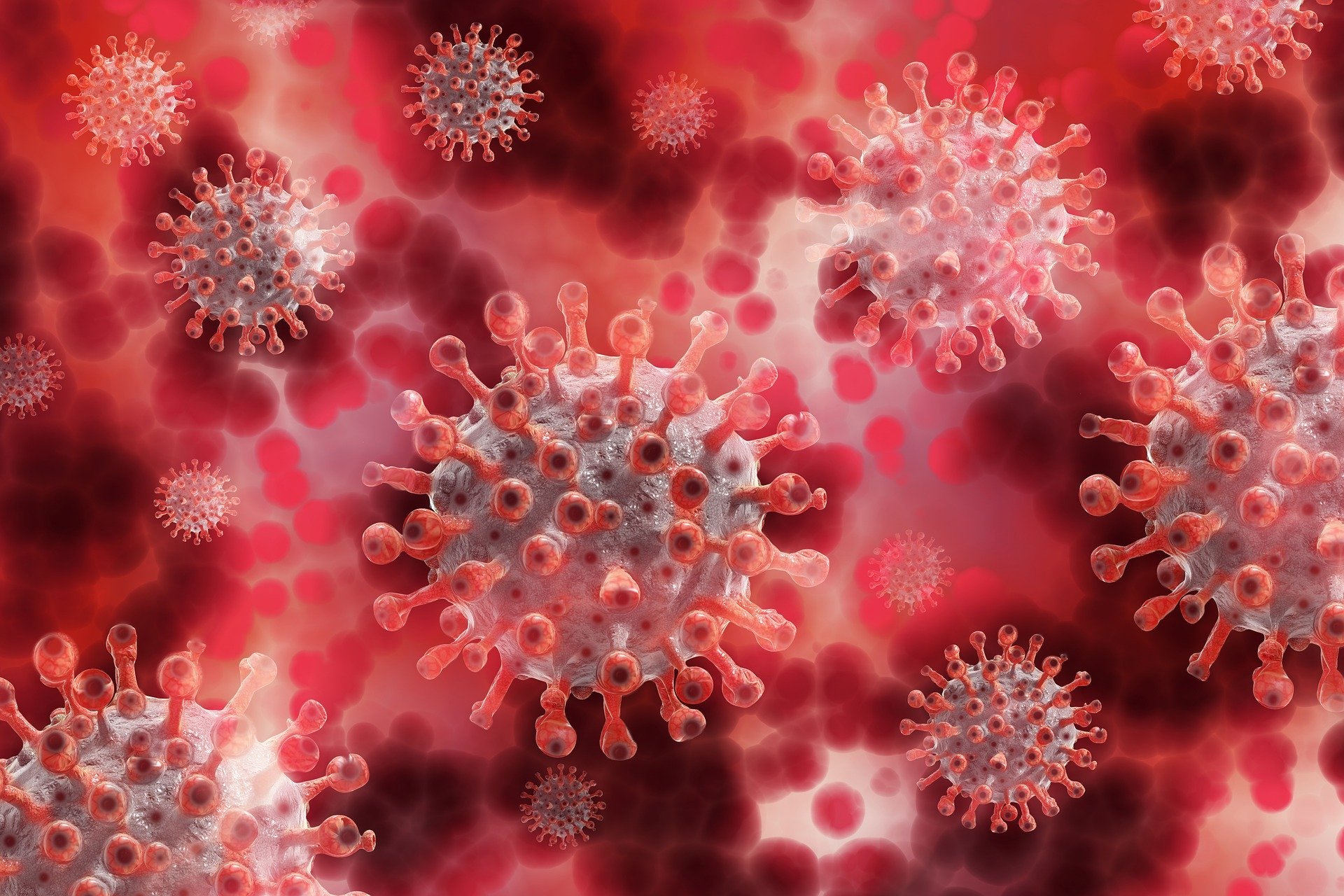 widok na wirus SARS - COV 2