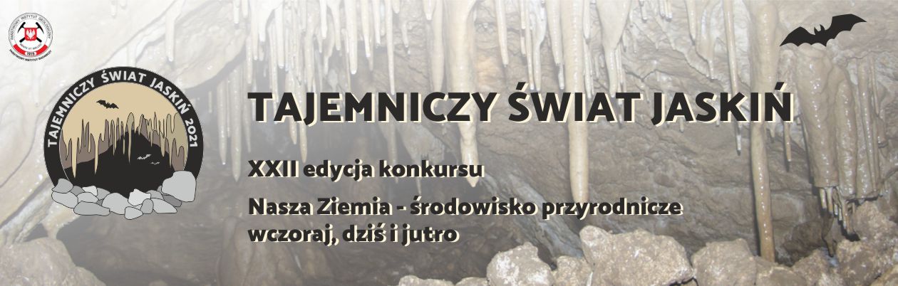 plakat prezentujący widok na jaskinie i nietoperza z tytułem konkursu